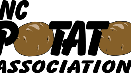 Group Banner Picture